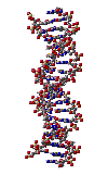 What a twisted pair!